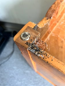 Bed Bugs Under Night Stand