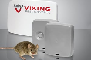 Keep Mice Out This Spring with SMART