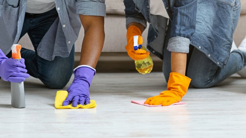 Disinfecting home to protect from hantavirus - Viking Pest Control
