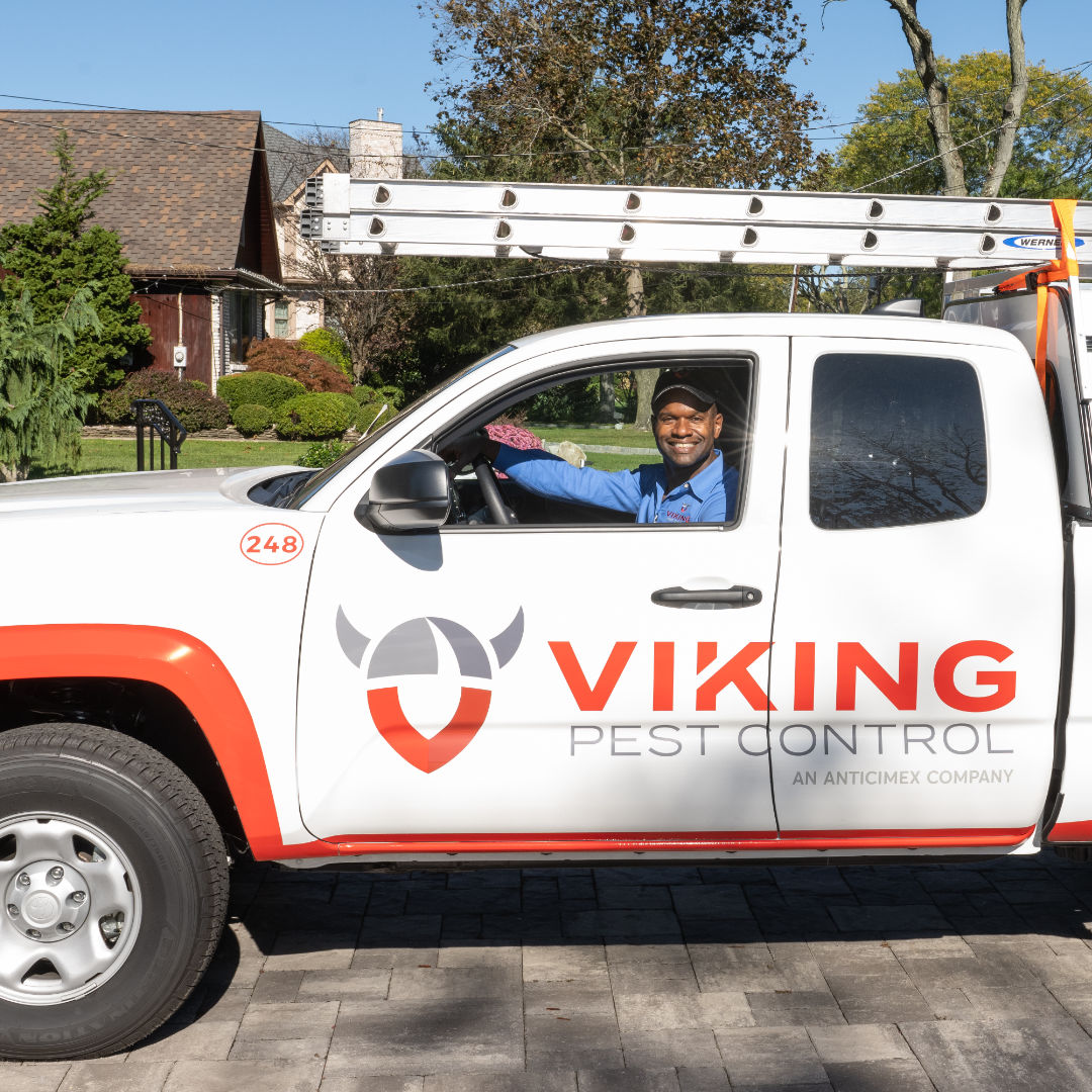 Why You Should Choose Viking Pest Control