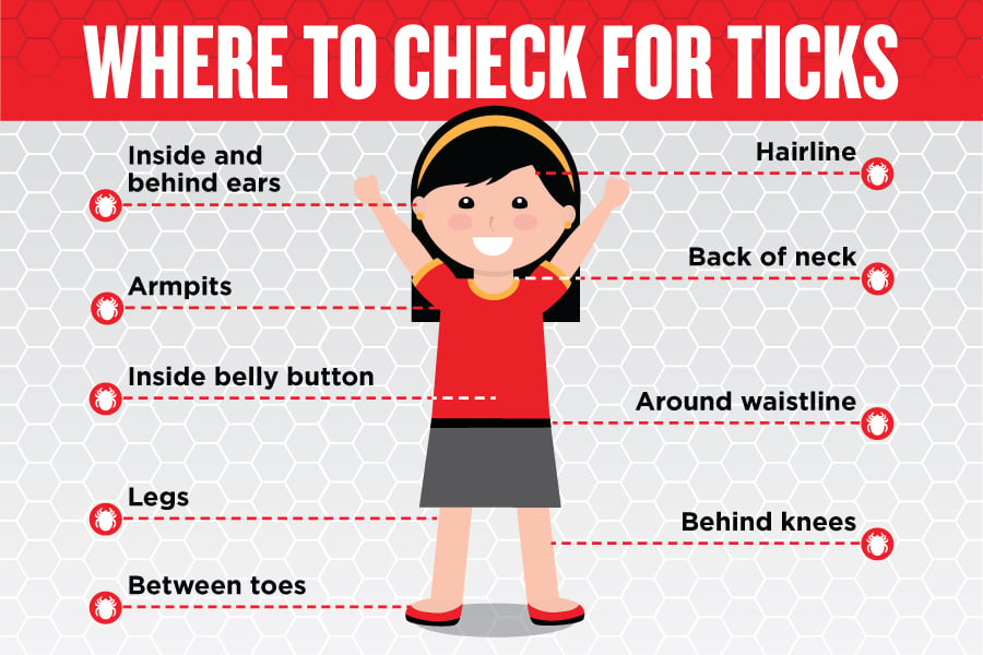 How To Properly Check Yourself for Ticks