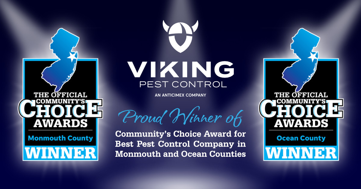 Viking Pest Wins Official Community's Choice Awards for Pest Control
