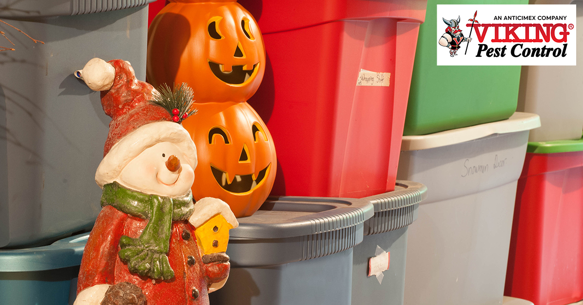 TIME TO UNPACK THE HOLIDAY DECORATIONS! ARE THERE PESTS IN YOURS?