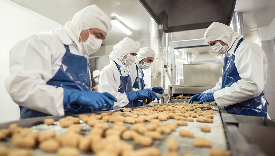 Benefits of Professional Pest Control in the Food Industry