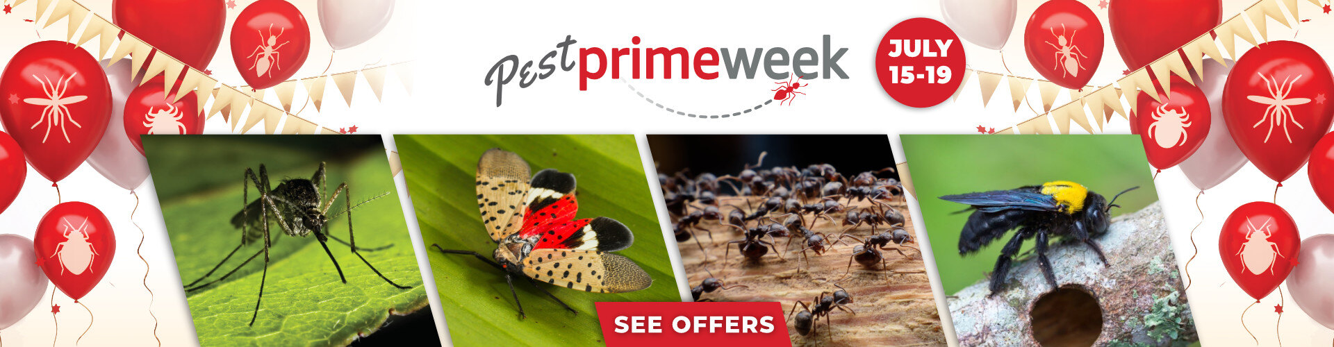 VIKING PEST CONTROL OFFERING AWARD-WINNING SERVICE AND BIG SAVINGS DURING THE 6TH ANNUAL “PEST PRIME WEEK” FROM JULY 15 TO JULY 19