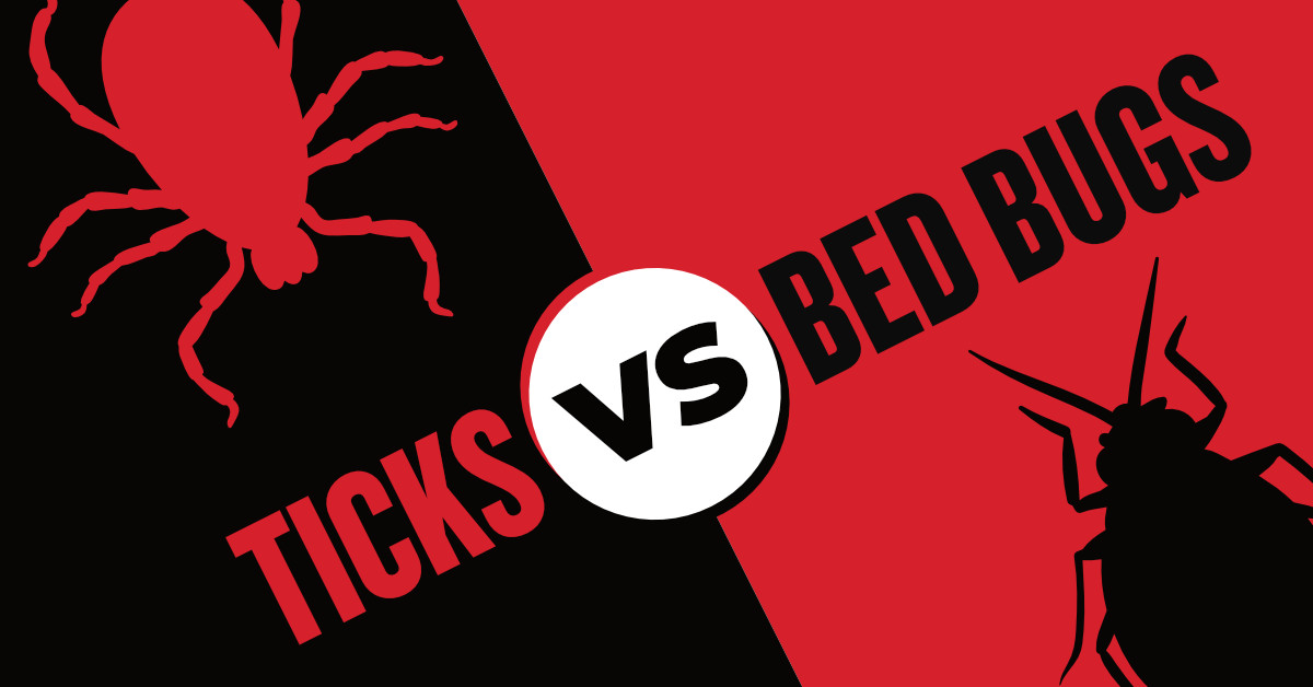 Ticks Vs. Bed Bugs: How To Tell The Difference