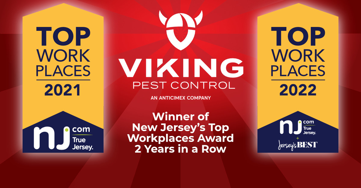 Viking Voted Top Workplace Second Year in a Row