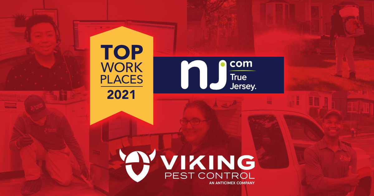 Viking Pest Control Voted Top Workplace