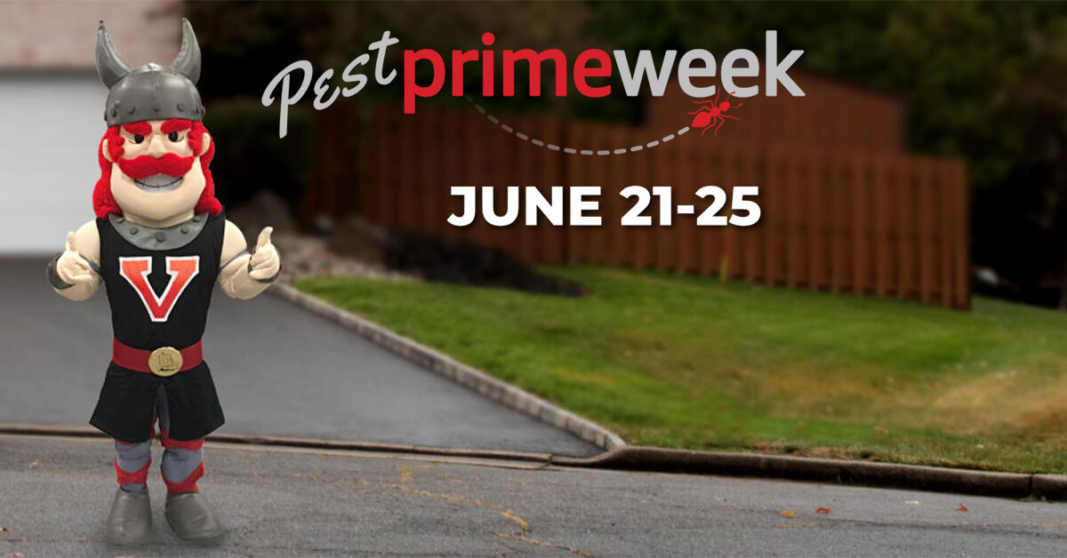 Viking's Pest Prime Week and Summer Giveaways