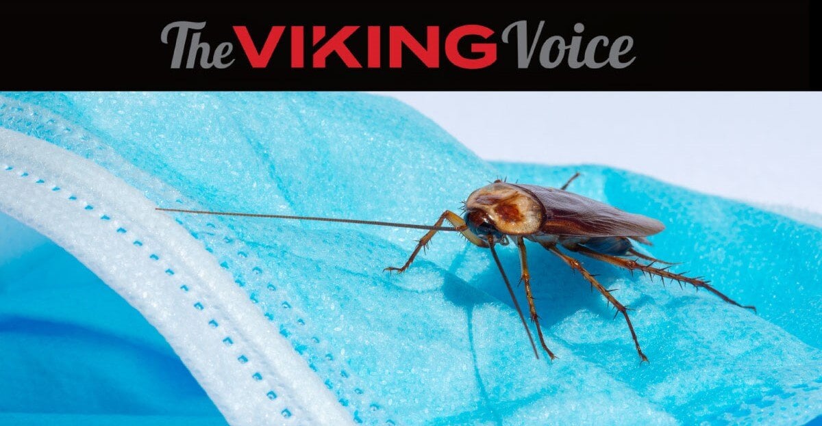 Viking Voice: Preventing Pests in Medical Offices