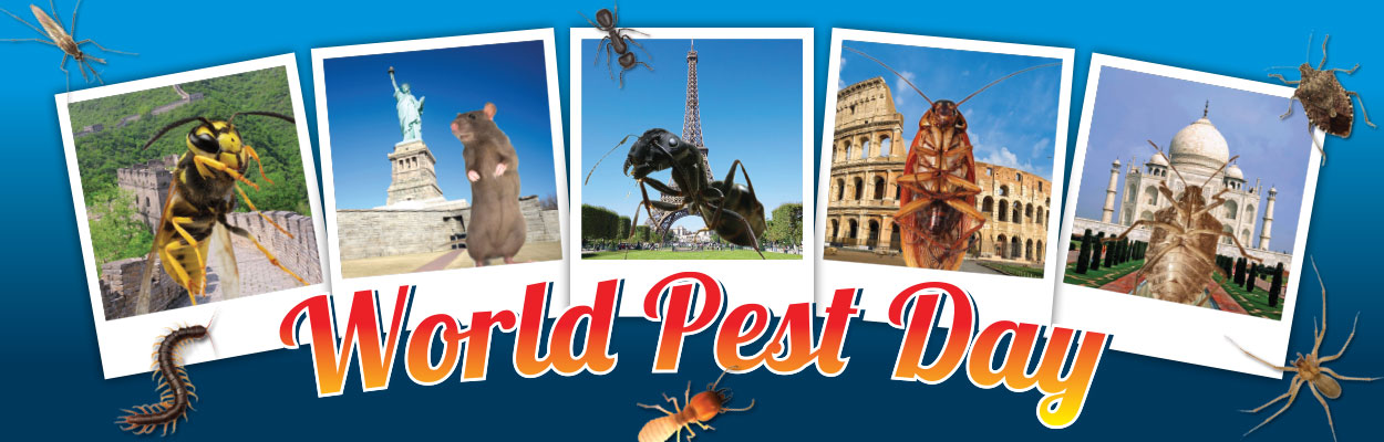 World Pest Day is Here!