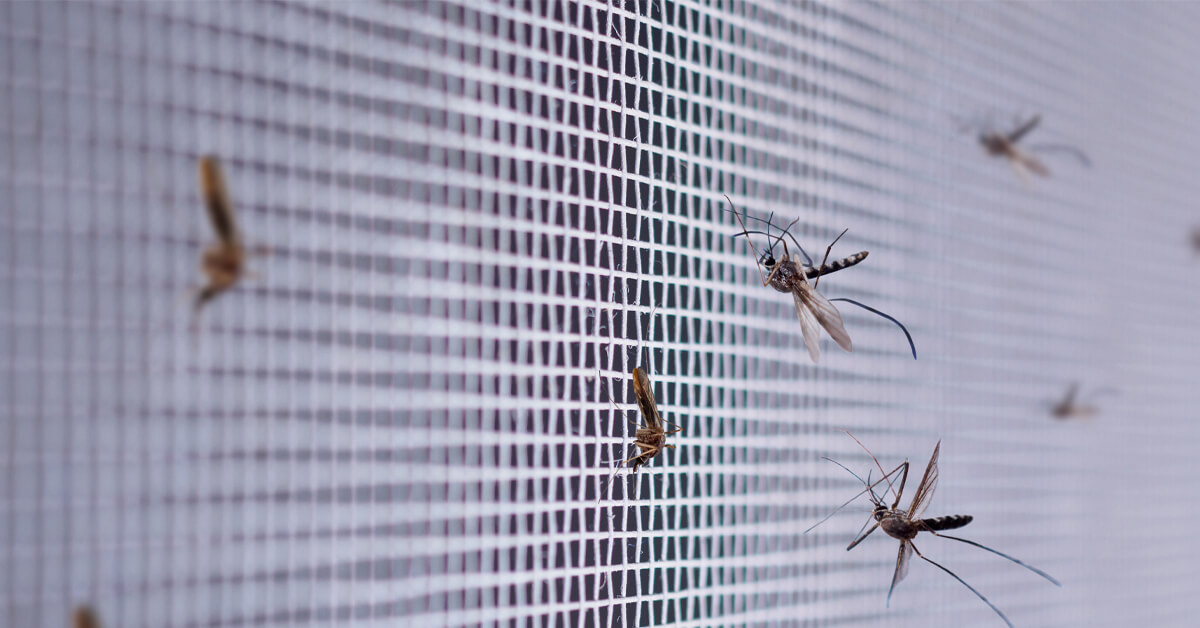 HOW TO PREPARE FOR MOSQUITO SEASON