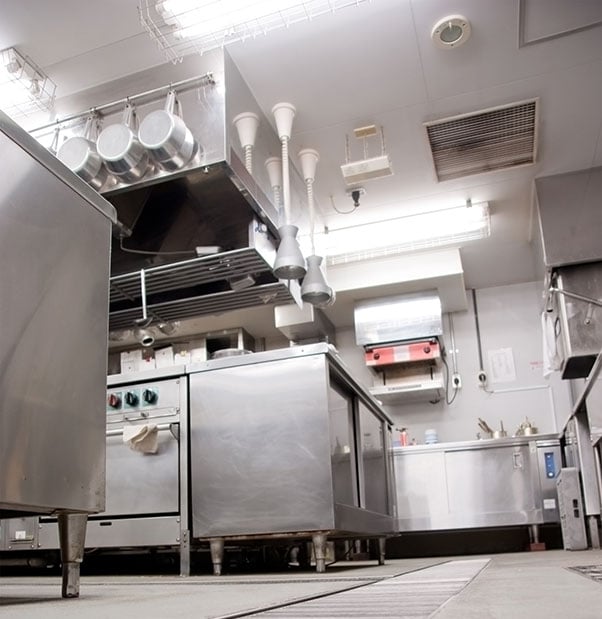 Why Every Restaurant Should Have a Professional Pest Control Company