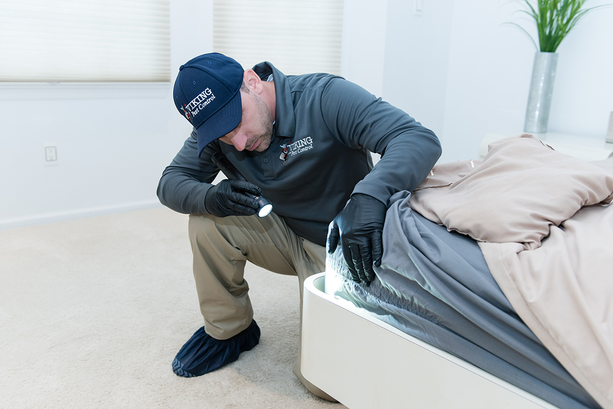 At Home Bed Bug Treatment vs. Professional: Which Is Better?