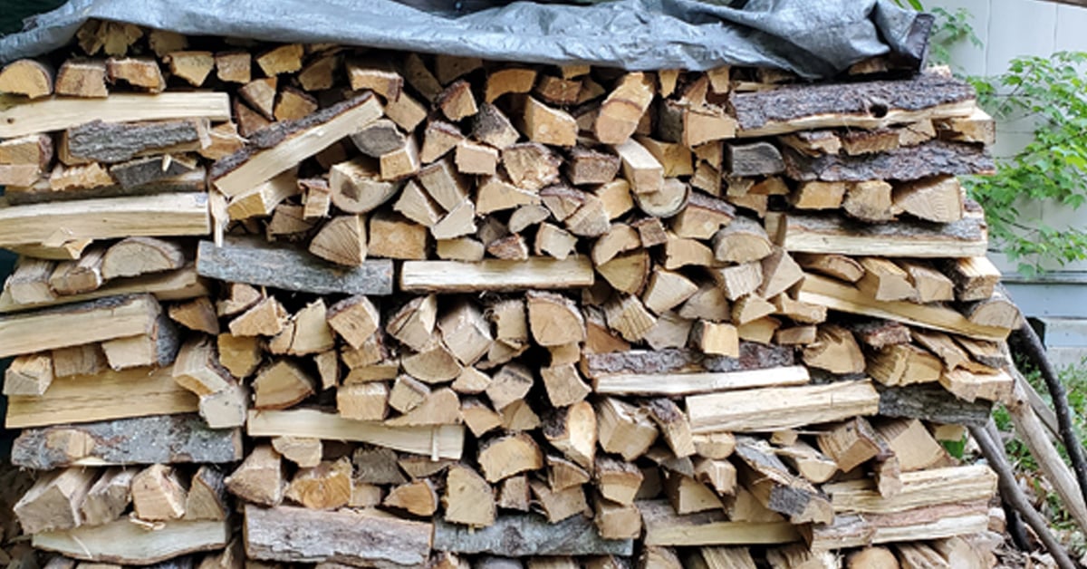 How to Keep Pests Out of Firewood