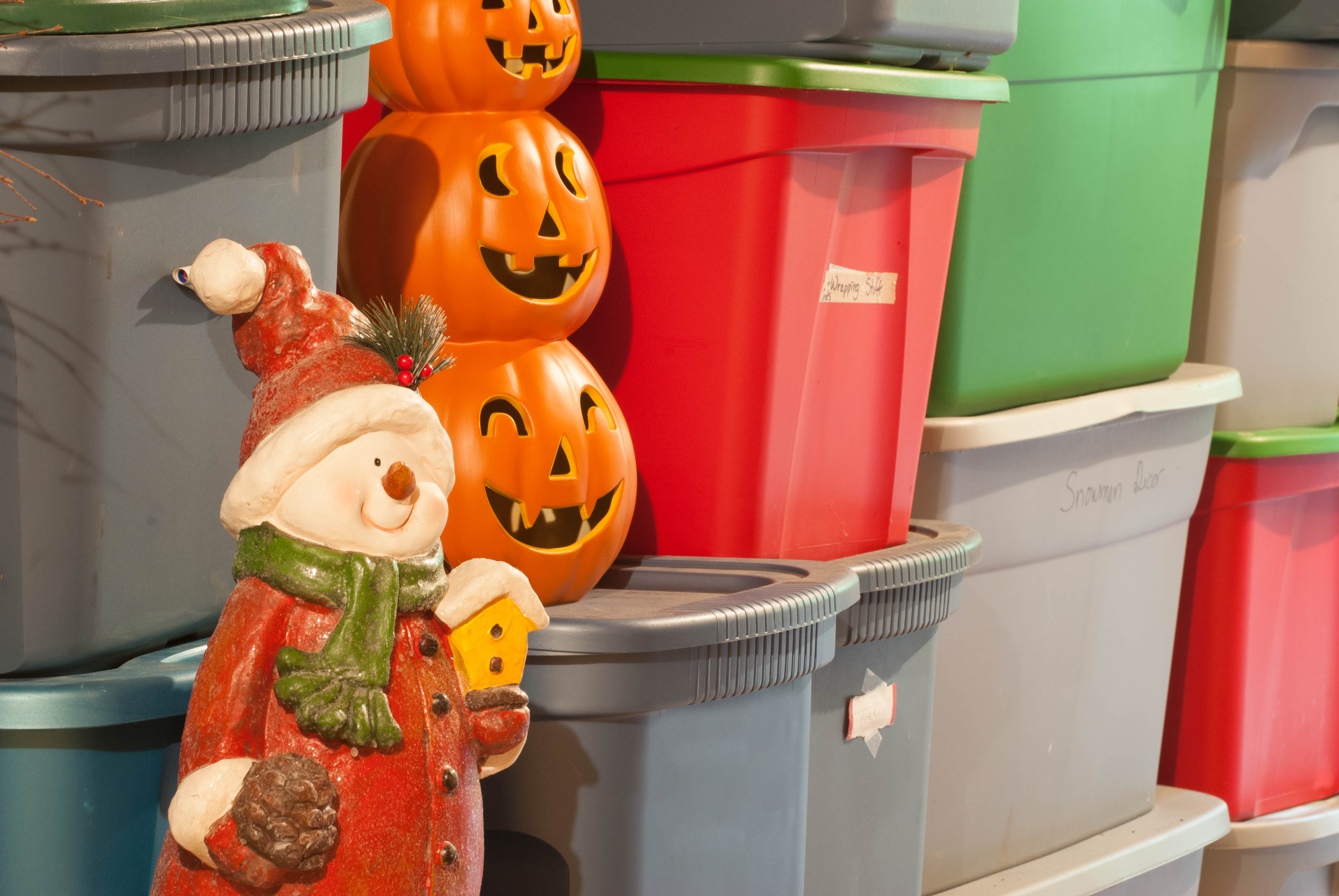 How to keep your decorations pest free, after the holidays