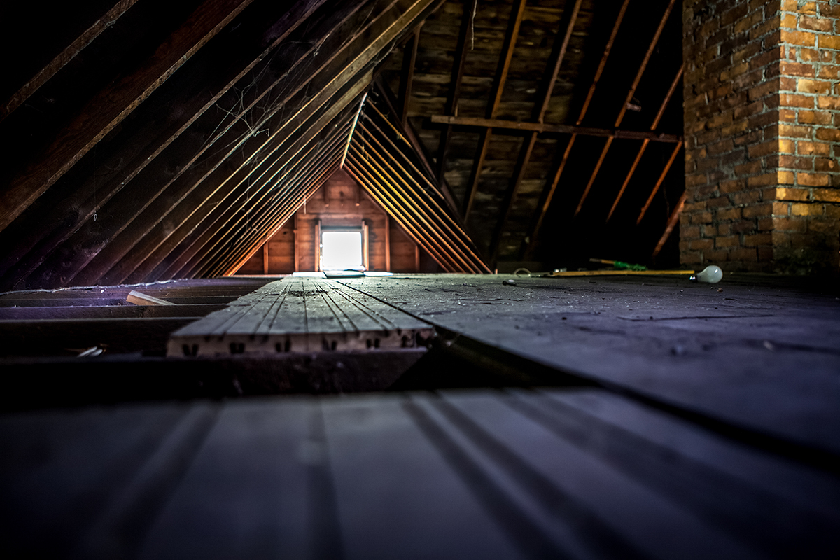WHY YOU WANT TO KEEP YOUR ATTIC AND GARAGE PEST FREE