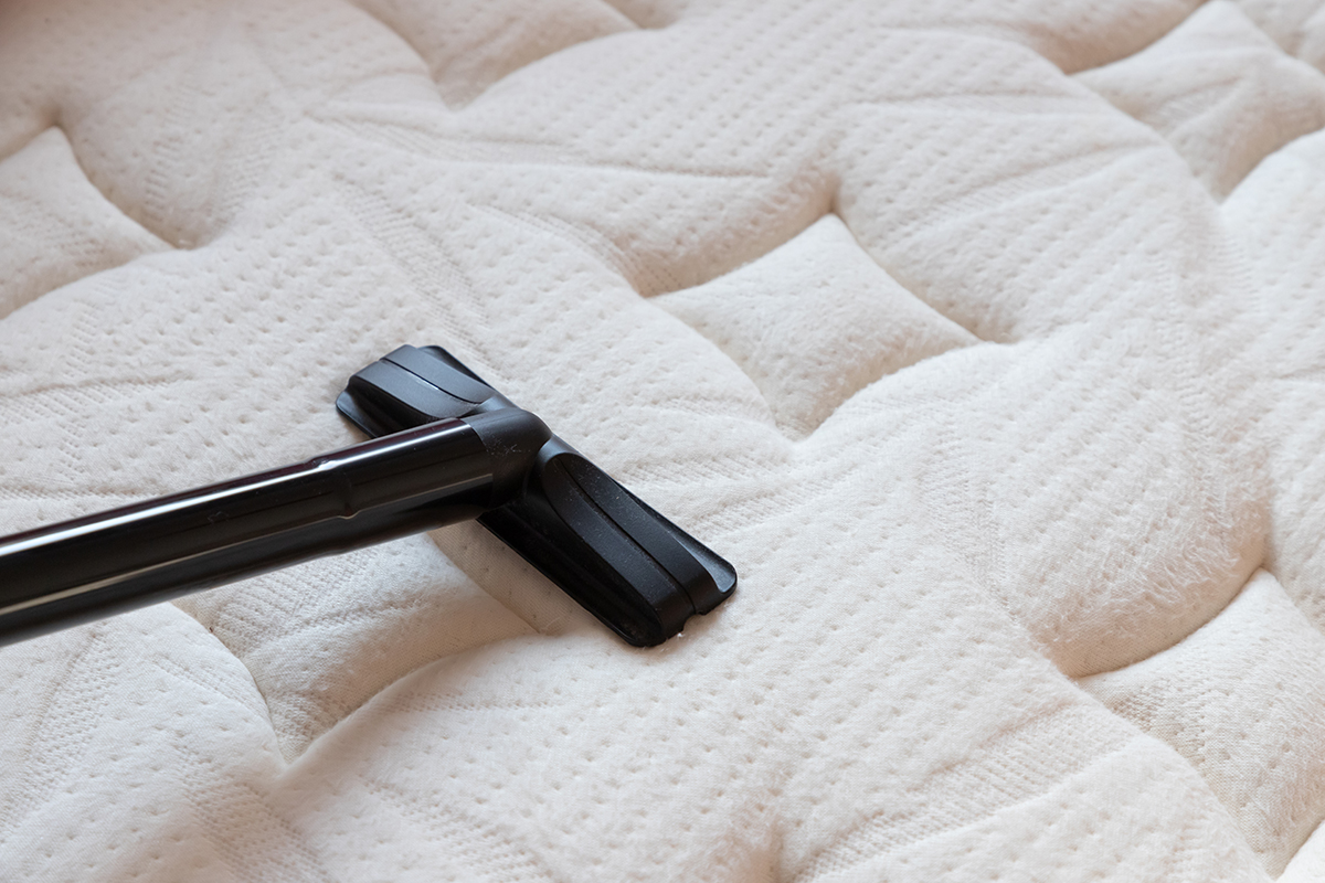 Preparing Your Home for a Bed Bug Treatment